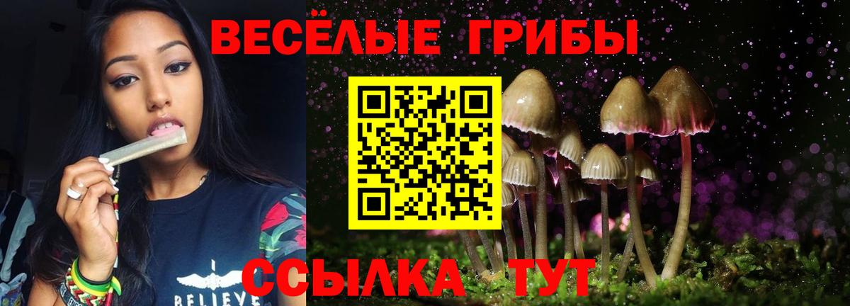 Псилоцибиновые грибы ЛСД  Псилоцибиновые грибы Psilocybine cubensis  Керчь  Вход с VPN 